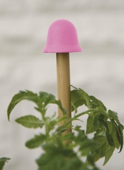 Stokdopjes voor 1-stok